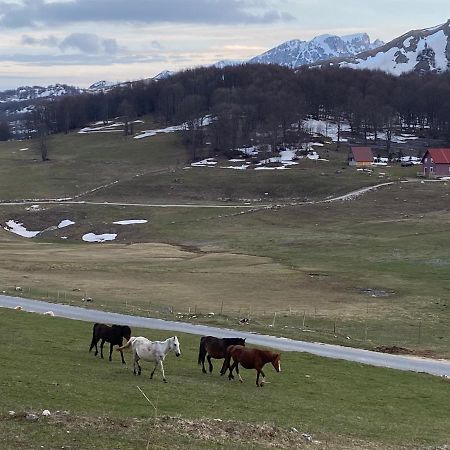 Blackberry House Zabljak Экстерьер фото