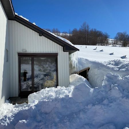 Blackberry House Zabljak Экстерьер фото
