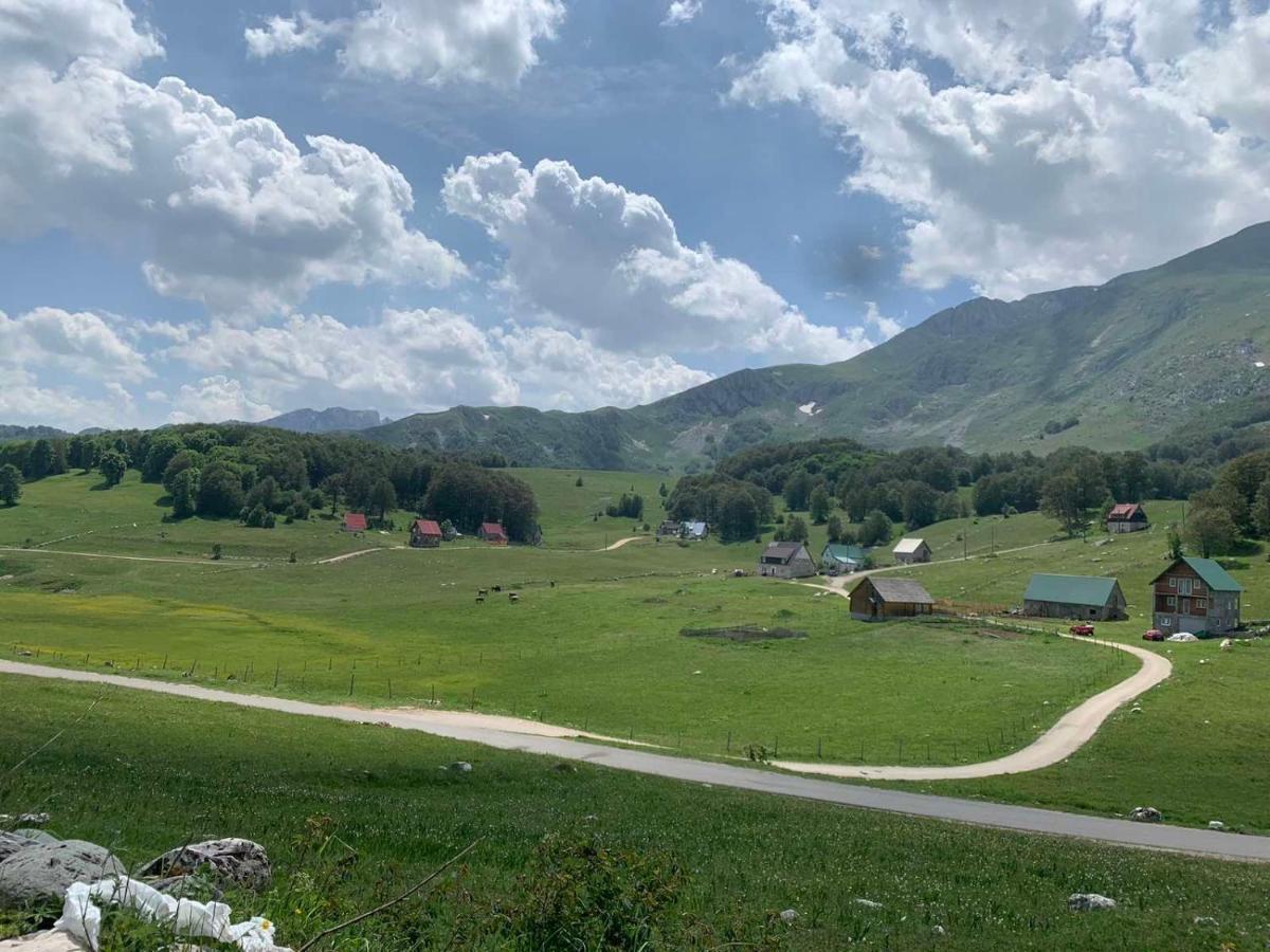 Blackberry House Zabljak Экстерьер фото