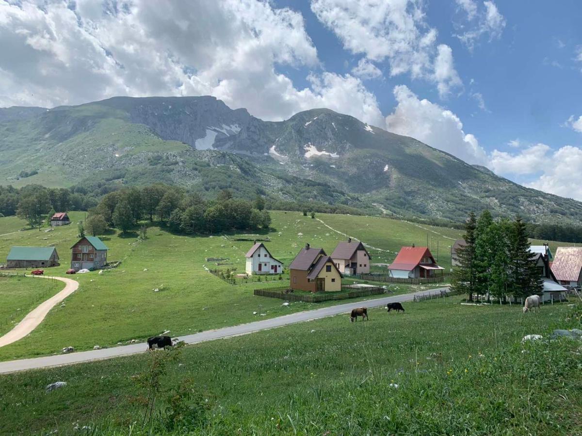 Blackberry House Zabljak Экстерьер фото