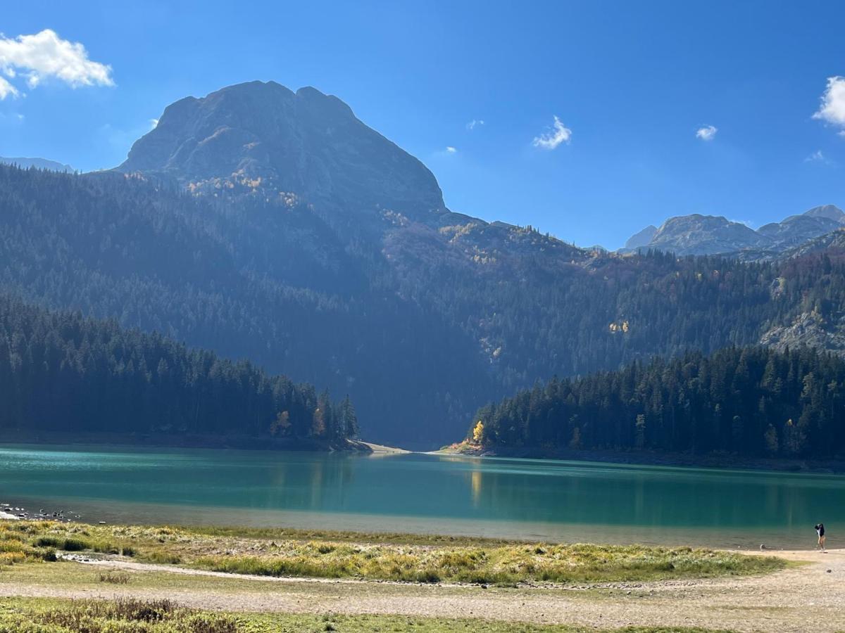 Blackberry House Zabljak Экстерьер фото