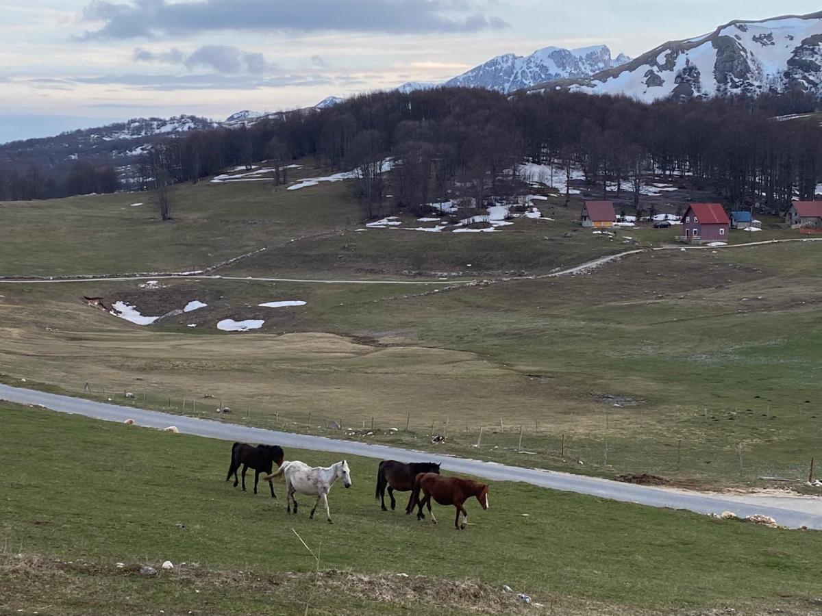 Blackberry House Zabljak Экстерьер фото