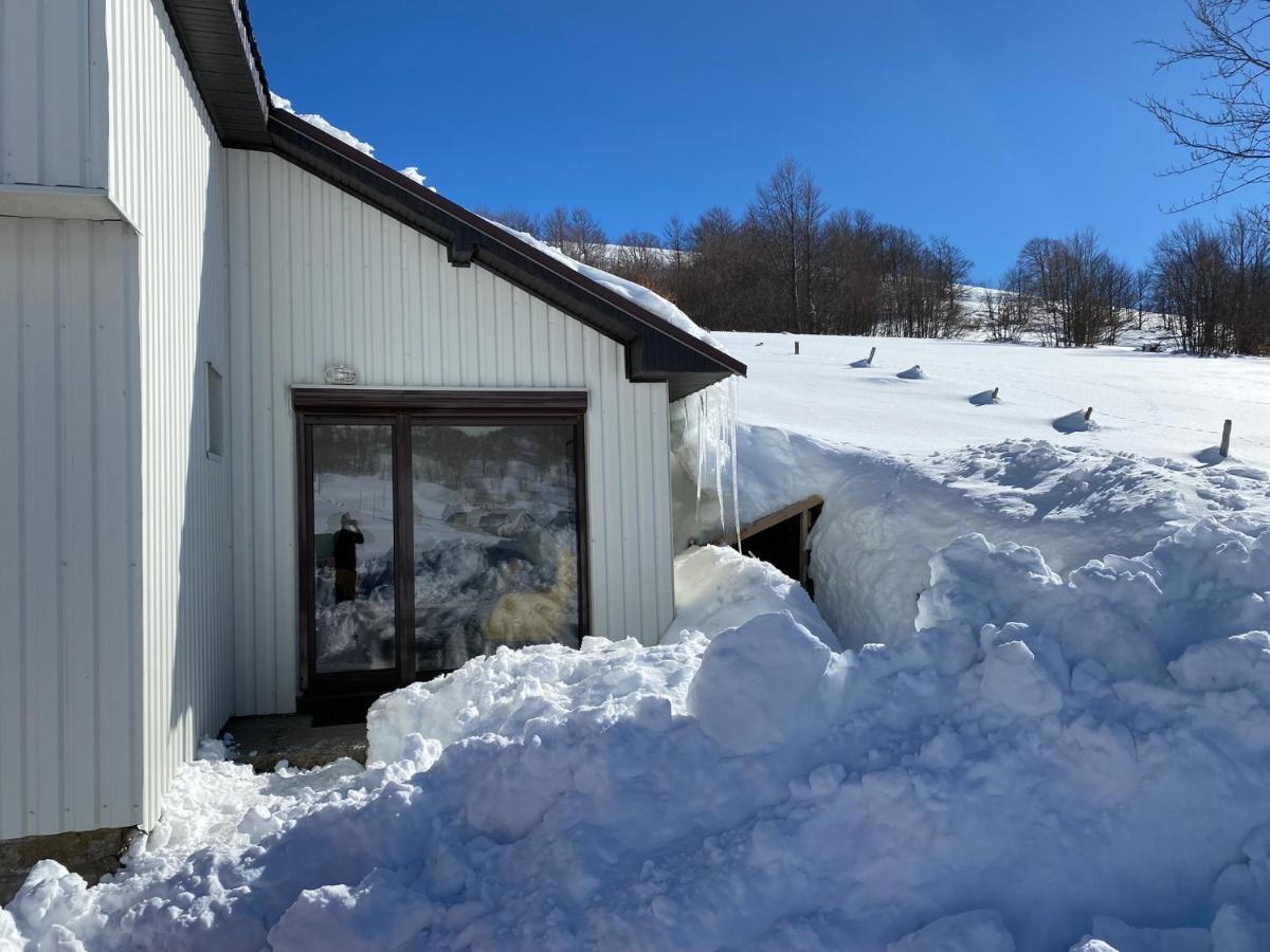 Blackberry House Zabljak Экстерьер фото